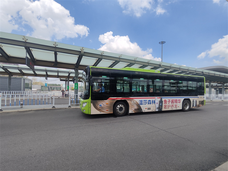 溫莎森林魚子醬公交車廣告